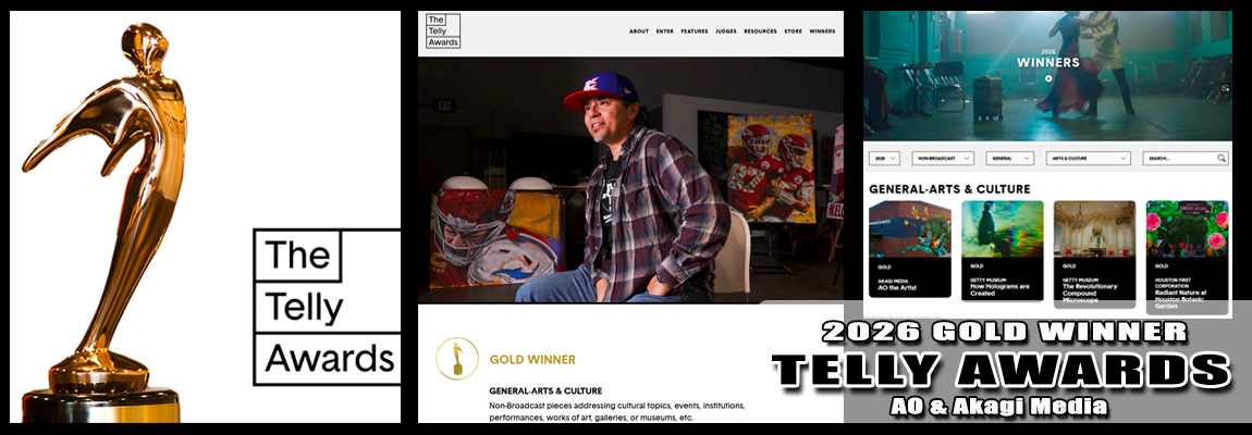 AO - Telly Award Winner